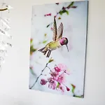 Mountainview * Lottstetten