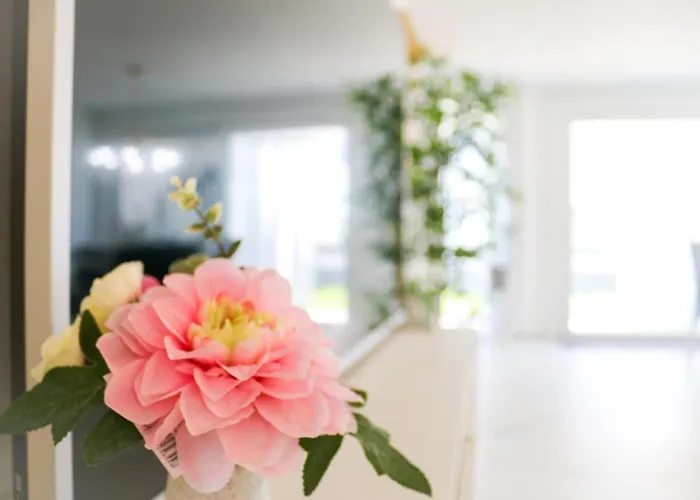 Mountainview Apartament